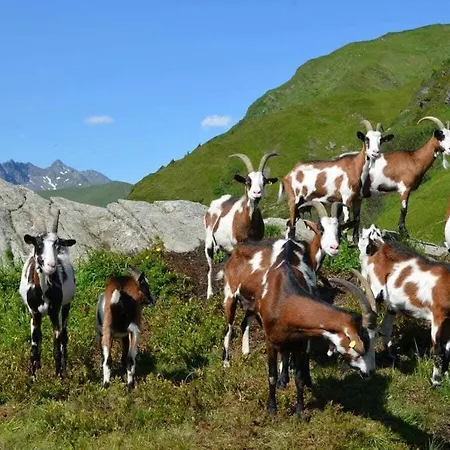 Talblickhuette Comfortable *